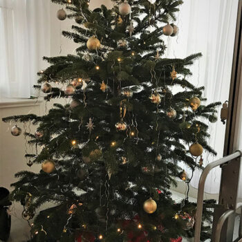 Aktivitäten in der Weihnachtszeit in der Pflegewohnung Weitblick in Winterthur